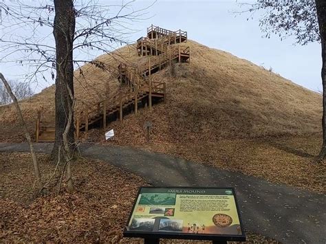 TN History For Kids » Pinson Mounds