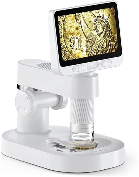 Beaverlab Darwin M Digital Microscope Review Ideal For Identifying