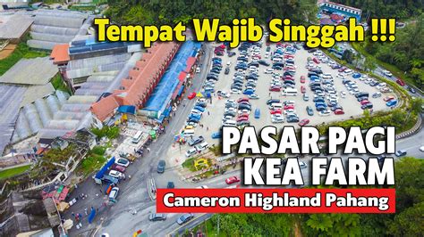 PASAR KEA FARM BRINCHANG KEA MARKET TEMPAT WAJIB SINGGAH TEMPAT