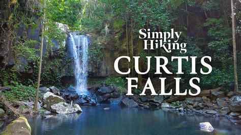 One Of The Most Beautiful Waterfall Walks In Australia Curtis Falls