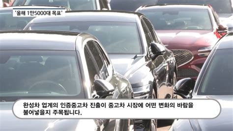 영상 현대차 중고차사업 진출 100일에 1000대 팔려3월부턴 전기차도 판매 Zum 뉴스