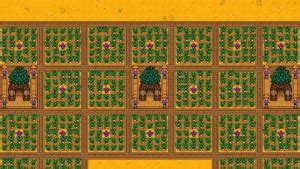 Stardew Valley Junimo Hut Layout - Nerd Lodge