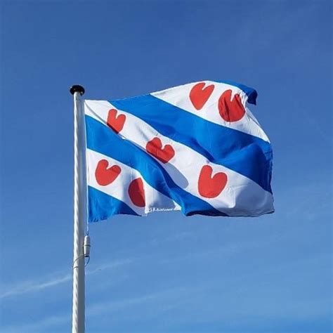 Premium Kwaliteit Vlag Friesland X Cm Friese Vlag Bol