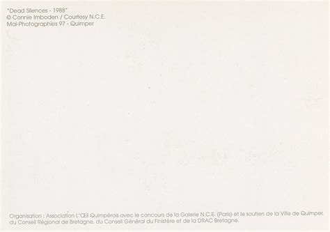 Lot Vintage Erotic Nude Postcard CONNIE IMBODEN