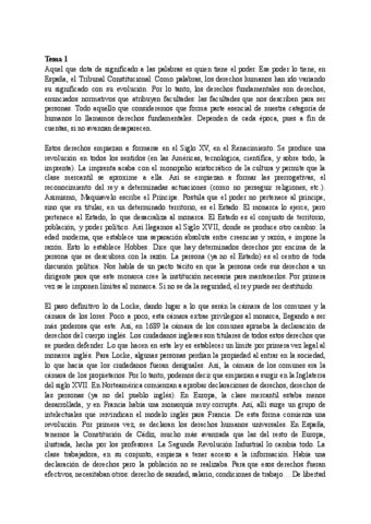 Derecho Constitucional Derechos Fundamentales Pdf