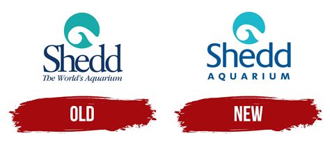 Thomas shedd research is changing how we view modern science 22