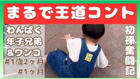 めちゃ面白い！まるでコント 1歳2ヶ月 かわいい 孫 Youtube