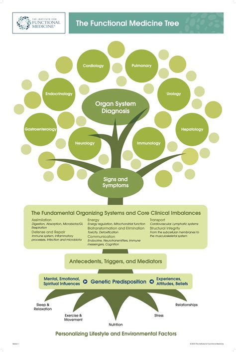 How Is Functional Medicine Different The Functional Medicine Tree