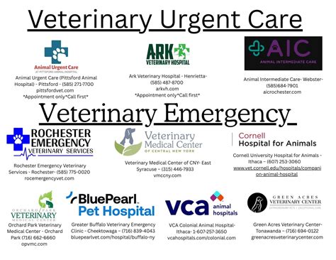 animal shelter in rochester ny 1