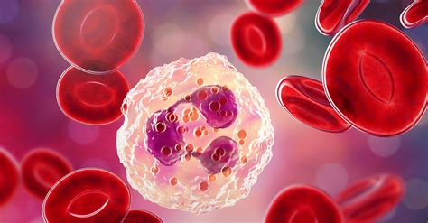 Eritrograma E Anemias Controllab