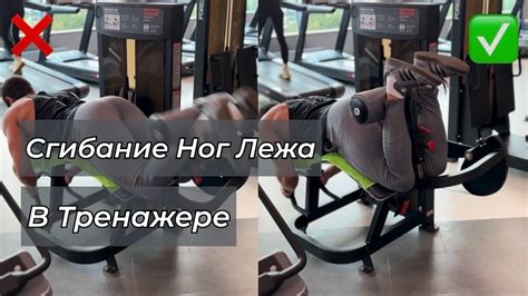 Сгибание Ног лёжа в тренажере - YouTube