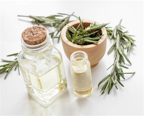 Rosemary Oil Before And After: Hair Loss Results - Wimpole Clinic