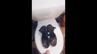 Hot Amateur Gay Cock Free Hot Gay HD Porn XHamster XHamster