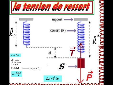 La Tension De Ressort Tronc Commun Youtube