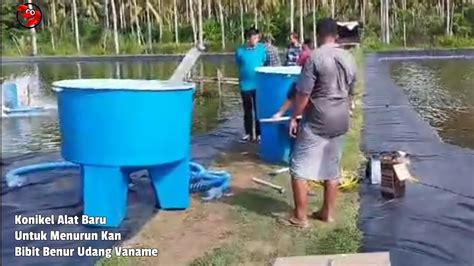 Konikel Alat Kosunsi Budidaya Benur Udang Vaname Cp Irawan