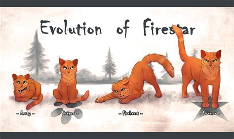 Warrior Cats Wiki Firestar