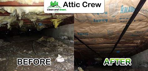 Crawl Space Cleaning Services In Seattle Attic Crew