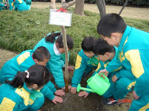 “种植绿色，情系师生”徐浦小学植树节活动 内容 徐浦小学信息网