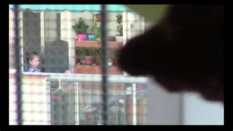 Window Dickflash For Neighbor Porn Videos