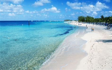 bimini fl 12