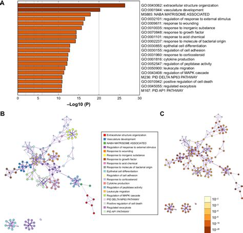 Biological Processes Enriched In Go Terms And Enrichment Distribution