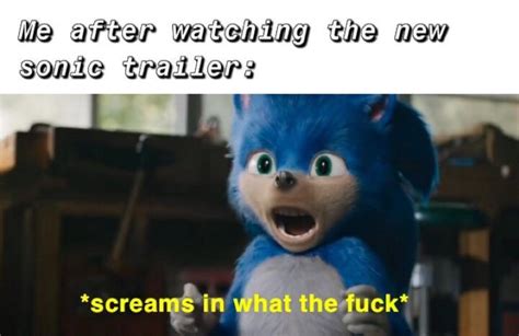 Screams In What The Fuck Sonic The Hedgehog 2020 Film Know Your Meme