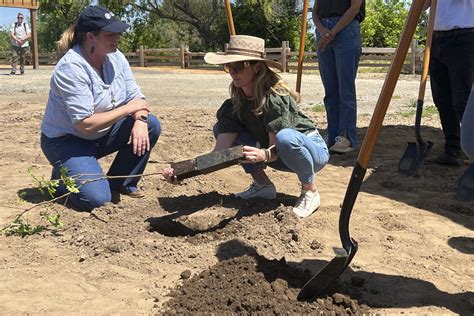 California Announces First New State Park In A Decade | Positive ...