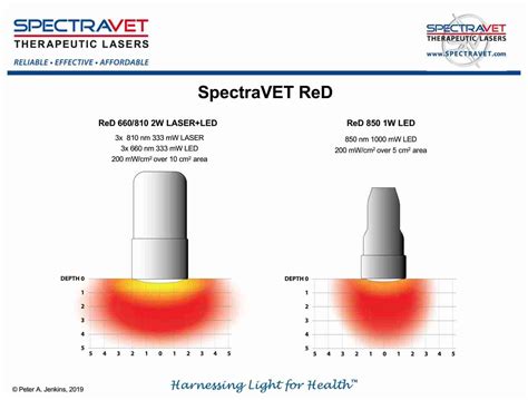 3spectravet Red Class 3b Laser Equestricare