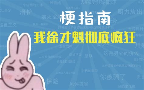 我徐才魁彻底疯狂是什么梗【梗指南】 梗指南 梗指南 哔哩哔哩视频