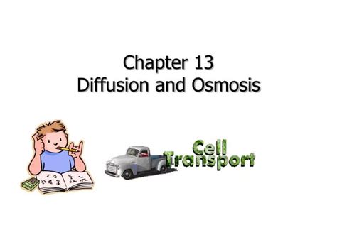 Ppt Chapter Diffusion And Osmosis Powerpoint Presentation Free