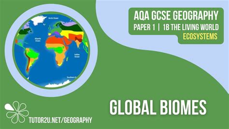 Global Biomes AQA GCSE Geography Ecosystems 4 YouTube