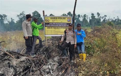 Karhutla Di Rohil Akhirnya Padam Total Dua Pelaku Langsung Ditangkap