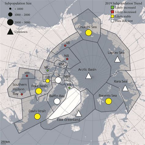 Polar Bear Distribution Map