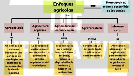 Elaboramos Un Mapa Conceptual Sobre La Importancia De La Agricultura