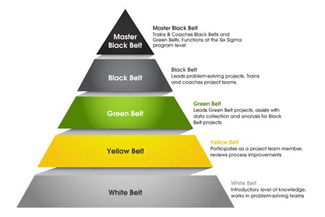 Lean Six Sigma Certification Levels Guide 2025 Spoclearn