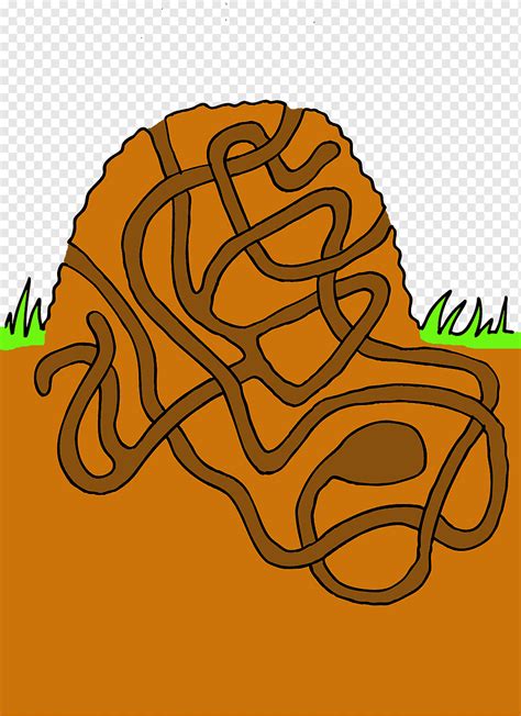 Labyrinth Maze Png PNGWing