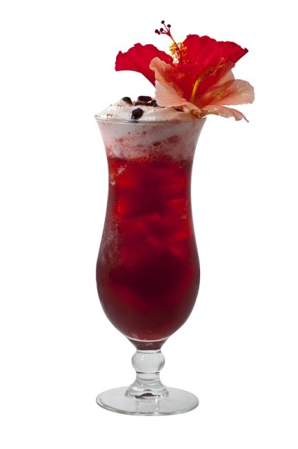 Hibiscus Cooler Recipe Monin