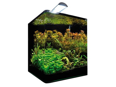 Garnelen Aquarium Nano Cube Sauerstoffmangel Aquarium