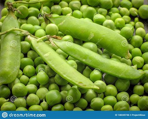 Closeup Of Fresh Green Peeled Peas Pisum Sativum And Green Peas In The