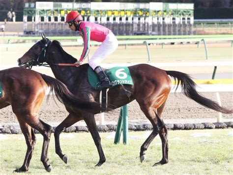 【クイーンc】もう一頭の関西馬イングランドアイズは4着 横山和生騎手「これから良くなってくると思う」 競馬ニュース Netkeiba