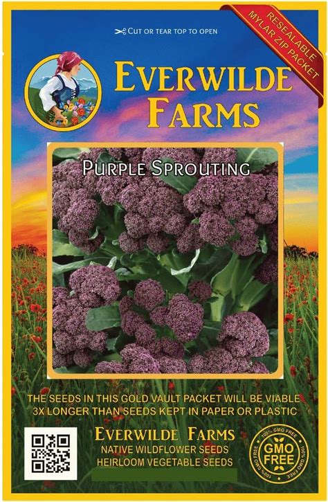 Everwilde Farms 500 Purple Sprouting Broccoli Seeds Gold Vault Jumbo Seed