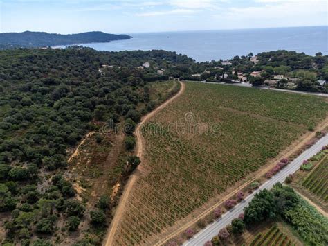 Aerial View On Hills Houses And Green Vineyards Cotes De Provence