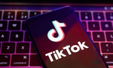 Professionally Grow Your Tik Tok Account Organically And Manually By Verdax Danz Fiverr