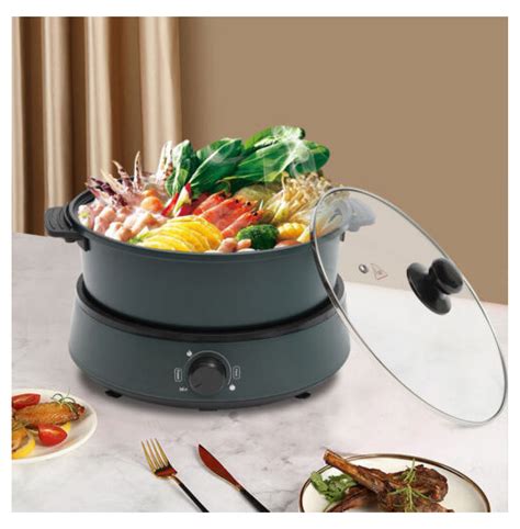 Electric Hot Pot Portable Electric Skillet Multi Function Electric Cooker New