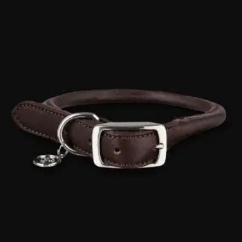 Best Rolled Leather Dog Collar: Top 6 Options with Pros & Cons