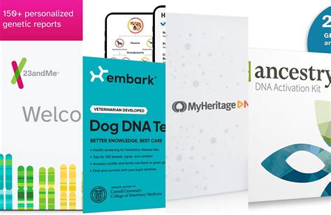 The Best Dna Test Kits Of 2024 Popular Science