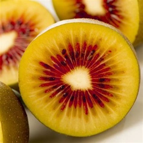 Ruby Red Kiwi Seeds Fruit Seeds Rare Fruit Seeds Heirloom Fruit