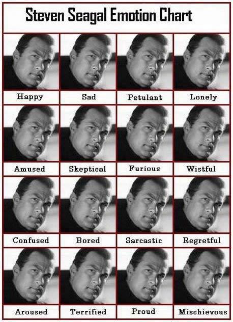 Steven Seagal Funny Quotes. QuotesGram