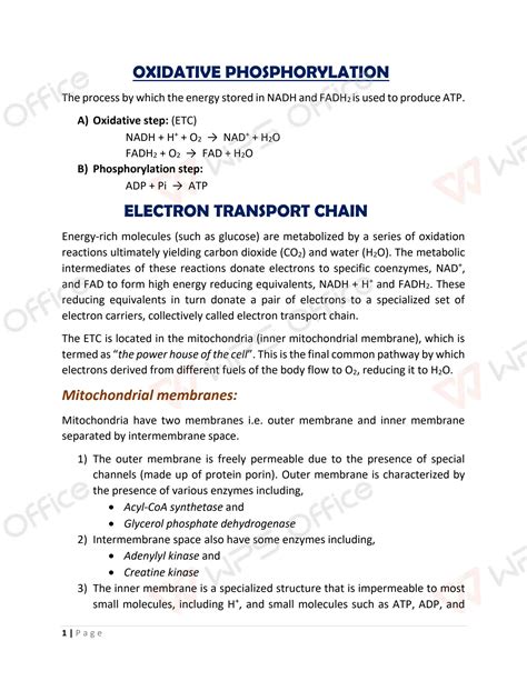 Solution Oxidative Phosphorylation Studypool