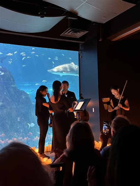 Adventure Aquarium (Philadelphia): Events & Tickets | Fever